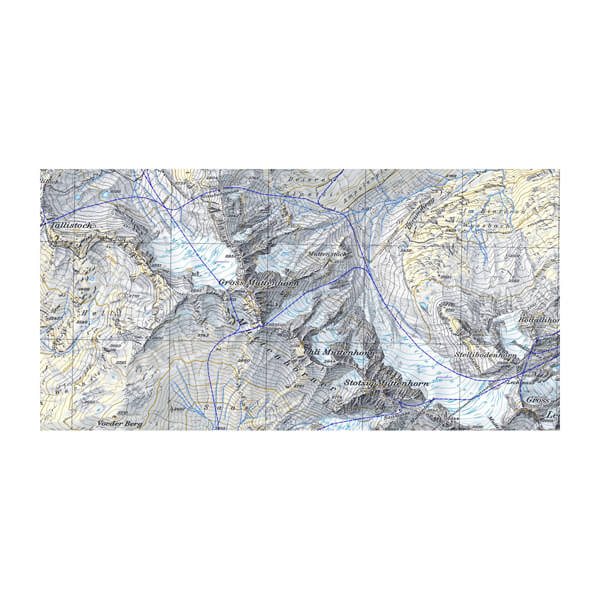 GARMIN TOPO Switzerland V2 Pro mirco SD Speicherkarte - Topografische Vektor- und Rasterkarte (010-12576-01)